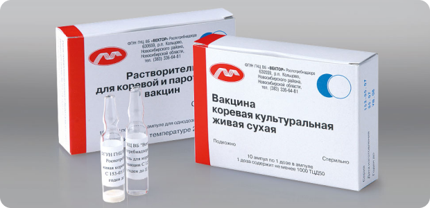 картинка Эрмитажа